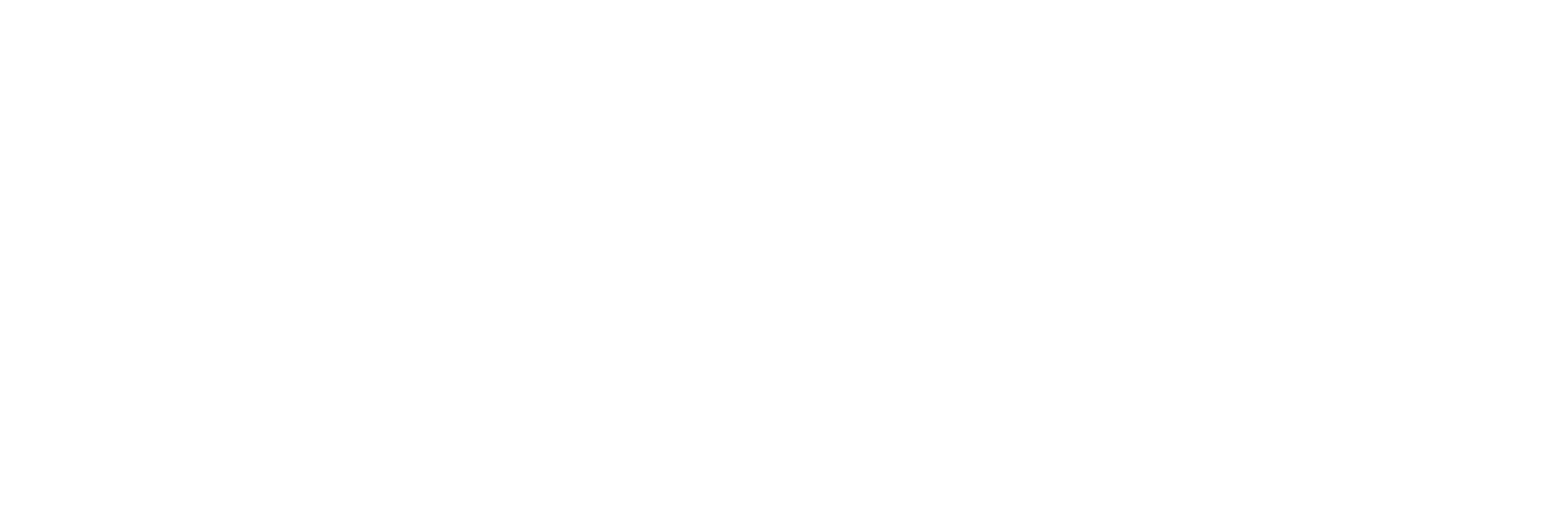 RetailIQ Logo